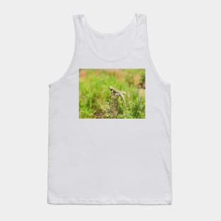 Lizards, yellow backed spiny lizard, reptiles, On the Lookout Tank Top